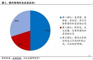 戰(zhàn)略管理 經(jīng)濟 技術 人力資源咨詢